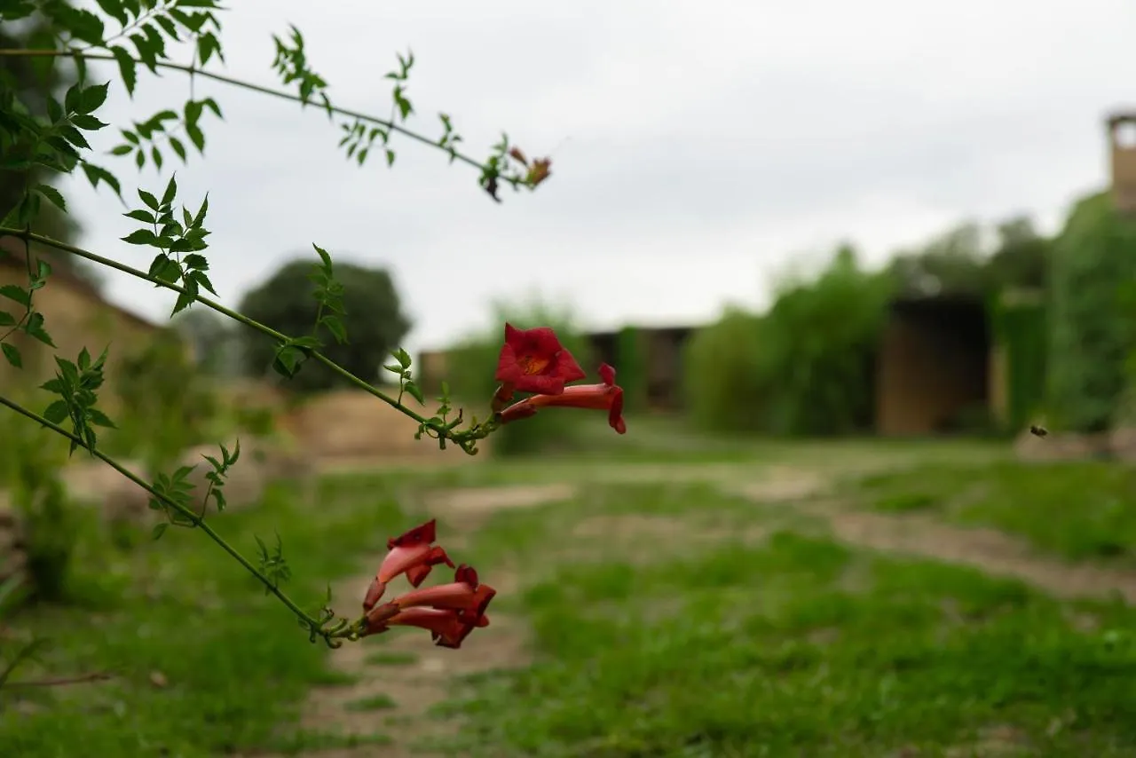 סולסונה Casa Rural Sant Grau Turismo Saludable Y Responsable